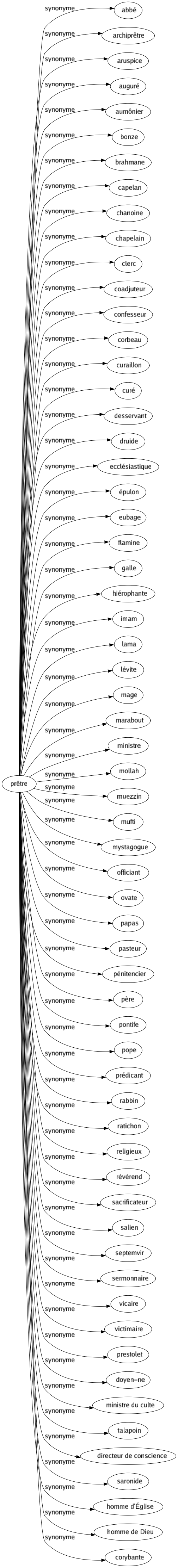 Synonyme de Prêtre : Abbé Archiprêtre Aruspice Auguré Aumônier Bonze Brahmane Capelan Chanoine Chapelain Clerc Coadjuteur Confesseur Corbeau Curaillon Curé Desservant Druide Ecclésiastique Épulon Eubage Flamine Galle Hiérophante Imam Lama Lévite Mage Marabout Ministre Mollah Muezzin Mufti Mystagogue Officiant Ovate Papas Pasteur Pénitencier Père Pontife Pope Prédicant Rabbin Ratichon Religieux Révérend Sacrificateur Salien Septemvir Sermonnaire Vicaire Victimaire Prestolet Doyen-ne Ministre du culte Talapoin Directeur de conscience Saronide Homme d'église Homme de dieu Corybante 