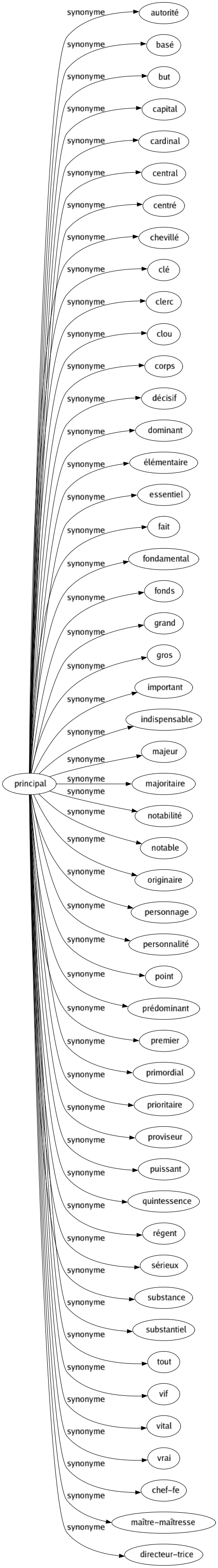 Synonyme de Principal : Autorité Basé But Capital Cardinal Central Centré Chevillé Clé Clerc Clou Corps Décisif Dominant Élémentaire Essentiel Fait Fondamental Fonds Grand Gros Important Indispensable Majeur Majoritaire Notabilité Notable Originaire Personnage Personnalité Point Prédominant Premier Primordial Prioritaire Proviseur Puissant Quintessence Régent Sérieux Substance Substantiel Tout Vif Vital Vrai Chef-fe Maître-maîtresse Directeur-trice 