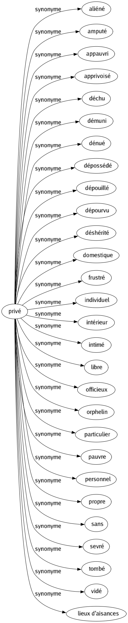 Synonyme de Privé : Aliéné Amputé Appauvri Apprivoisé Déchu Démuni Dénué Dépossédé Dépouillé Dépourvu Déshérité Domestique Frustré Individuel Intérieur Intimé Libre Officieux Orphelin Particulier Pauvre Personnel Propre Sans Sevré Tombé Vidé Lieux d'aisances 
