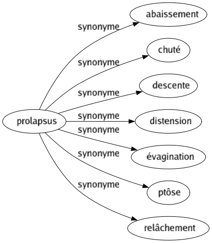 Synonyme de Prolapsus : Abaissement Chuté Descente Distension Évagination Ptôse Relâchement 