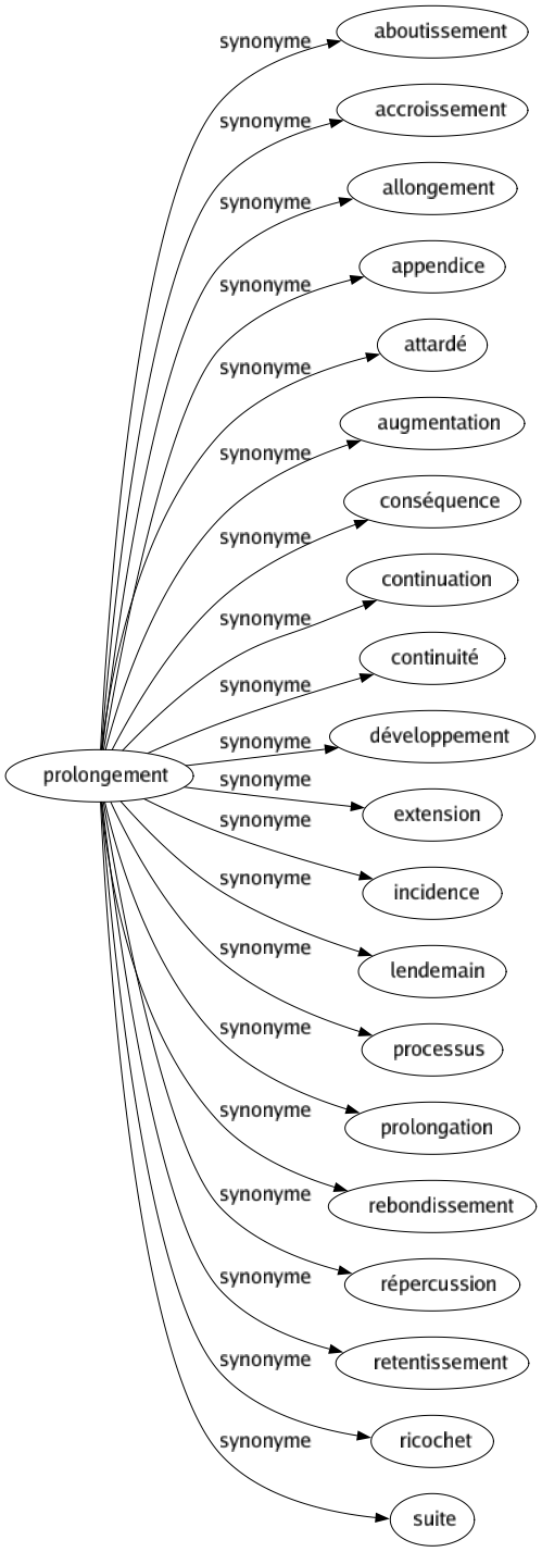 Synonyme de Prolongement : Aboutissement Accroissement Allongement Appendice Attardé Augmentation Conséquence Continuation Continuité Développement Extension Incidence Lendemain Processus Prolongation Rebondissement Répercussion Retentissement Ricochet Suite 
