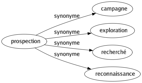 Synonyme de Prospection : Campagne Exploration Recherché Reconnaissance 