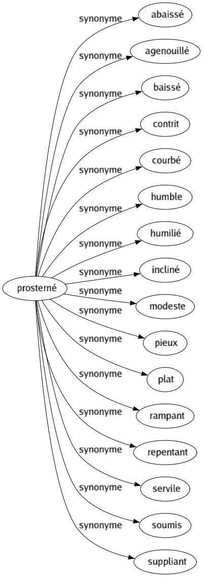 Synonyme de Prosterné : Abaissé Agenouillé Baissé Contrit Courbé Humble Humilié Incliné Modeste Pieux Plat Rampant Repentant Servile Soumis Suppliant 