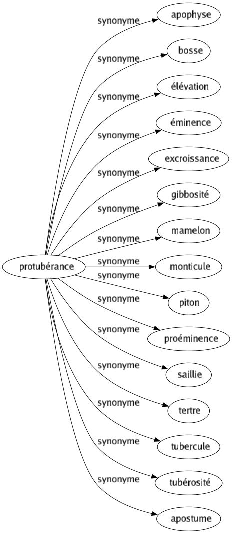 Synonyme de Protubérance : Apophyse Bosse Élévation Éminence Excroissance Gibbosité Mamelon Monticule Piton Proéminence Saillie Tertre Tubercule Tubérosité Apostume 