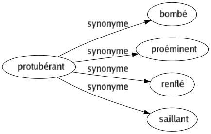 Synonyme de Protubérant : Bombé Proéminent Renflé Saillant 