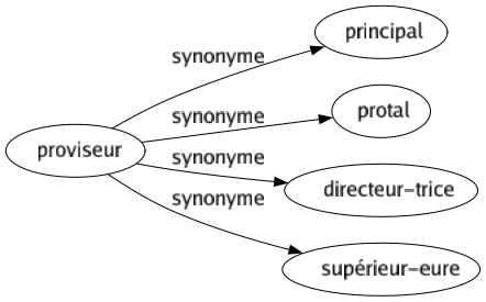 Synonyme de Proviseur : Principal Protal Directeur-trice Supérieur-eure 