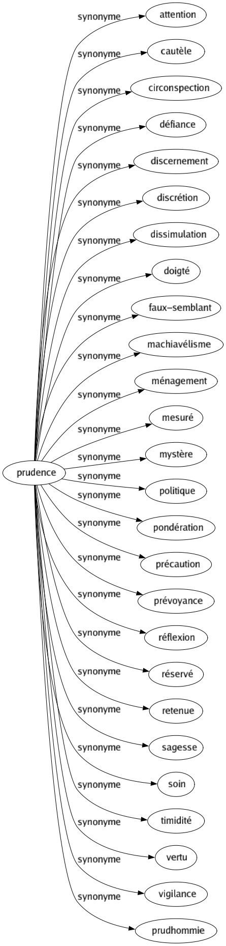 Synonyme de Prudence : Attention Cautèle Circonspection Défiance Discernement Discrétion Dissimulation Doigté Faux-semblant Machiavélisme Ménagement Mesuré Mystère Politique Pondération Précaution Prévoyance Réflexion Réservé Retenue Sagesse Soin Timidité Vertu Vigilance Prudhommie 