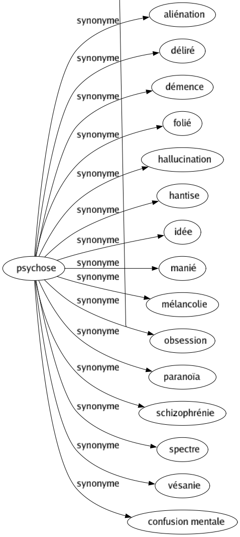 Synonyme de Psychose : Aliénation Déliré Démence Folié Hallucination Hantise Idée Manié Mélancolie Obsession Paranoïa Schizophrénie Spectre Vésanie Confusion mentale 