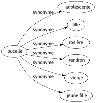 Synonyme de Pucelle : Adolescente Fille Rosière Tendron Vierge Jeune fille 