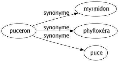 Synonyme de Puceron : Myrmidon Phylloxéra Puce 