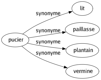 Synonyme de Pucier : Lit Paillasse Plantain Vermine 
