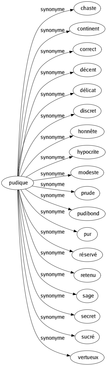 Synonyme de Pudique : Chaste Continent Correct Décent Délicat Discret Honnête Hypocrite Modeste Prude Pudibond Pur Réservé Retenu Sage Secret Sucré Vertueux 