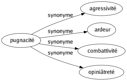 Synonyme de Pugnacité : Agressivité Ardeur Combattivité Opiniâtreté 