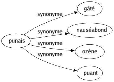 Synonyme de Punais : Gâté Nauséabond Ozène Puant 
