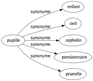 Synonyme de Pupille : Enfant Oeil Orphelin Pensionnaire Prunelle 