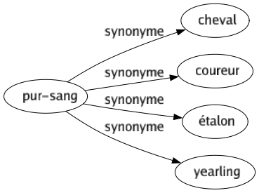 Synonyme de Pur-sang : Cheval Coureur Étalon Yearling 