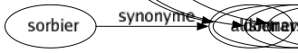 Synonyme de Purification : Ablution Affinage Assainissement Baptême Chandeleur Clarification Défécation Dépuration Désinfection Élimination Épuration Épurement Exorcisme Lavage Lessivé Lustration Nettoiement Nettoyage Présentation Purgation Purgatoire Purgé Raffinage Régénération Relevailles Sublimation 
