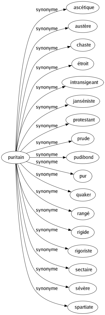 Synonyme de Puritain : Ascétique Austère Chaste Étroit Intransigeant Janséniste Protestant Prude Pudibond Pur Quaker Rangé Rigide Rigoriste Sectaire Sévère Spartiate 