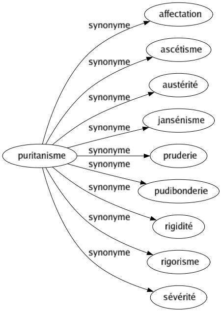 Synonyme de Puritanisme : Affectation Ascétisme Austérité Jansénisme Pruderie Pudibonderie Rigidité Rigorisme Sévérité 