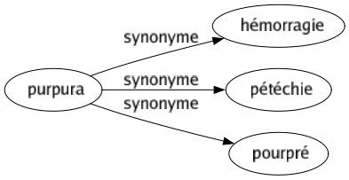 Synonyme de Purpura : Hémorragie Pétéchie Pourpré 