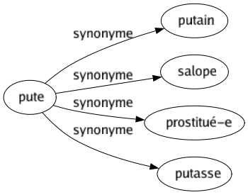 Synonyme de Pute : Putain Salope Prostitué-e Putasse 