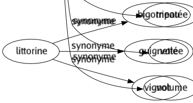 Synonyme de Quantité : Abondance Accumulation Affluence Amas Apport Armée Arsenal Avalanche Averse Batelée Bloc Bout Capacité Catégorie Chargé Chiée Collection Concours Contenance Contingent Débauché Déluge Dosé Encombrement Ensemble Entassement Essaim Excès Fleuve Flopée Flot Foison Forcé Forêt Foulé Foultitude Fourmillement Fret Grandeur Grêlé Immensité Infinité Jonchée Kyrielle Légion Luxé Massé Mer Mesuré Moisson Monceau Monde Montagne Multiplicité Multitude Myriade Nombré Nuage Nuée Paquet Peuplé Pluie Poids Potée Prisé Provision Pullulement Quantum Quota Régiment Ribambelle Sérié Sommé Tapée Tas Total Tripotée Volée Volume 