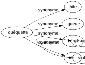 Synonyme de Quéquette : Bite Queue Vergé Vît 