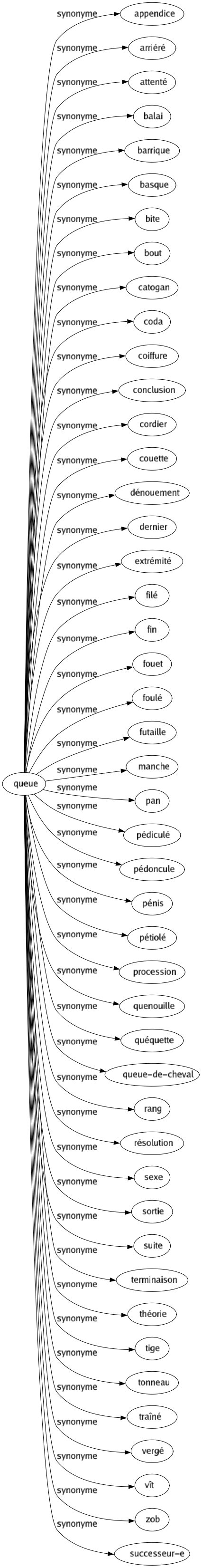 Synonyme de Queue : Appendice Arriéré Attenté Balai Barrique Basque Bite Bout Catogan Coda Coiffure Conclusion Cordier Couette Dénouement Dernier Extrémité Filé Fin Fouet Foulé Futaille Manche Pan Pédiculé Pédoncule Pénis Pétiolé Procession Quenouille Quéquette Queue-de-cheval Rang Résolution Sexe Sortie Suite Terminaison Théorie Tige Tonneau Traîné Vergé Vît Zob Successeur-e 