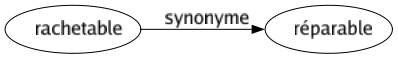 Synonyme de Rachetable : Réparable 
