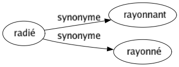 Synonyme de Radié : Rayonnant Rayonné 