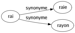 Synonyme de Rai : Raie Rayon 