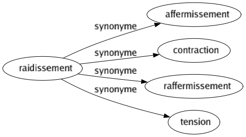 Synonyme de Raidissement : Affermissement Contraction Raffermissement Tension 