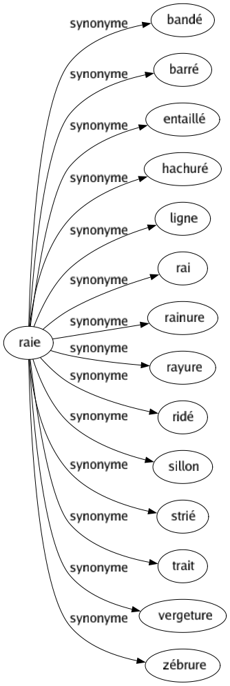 Synonyme de Raie : Bandé Barré Entaillé Hachuré Ligne Rai Rainure Rayure Ridé Sillon Strié Trait Vergeture Zébrure 