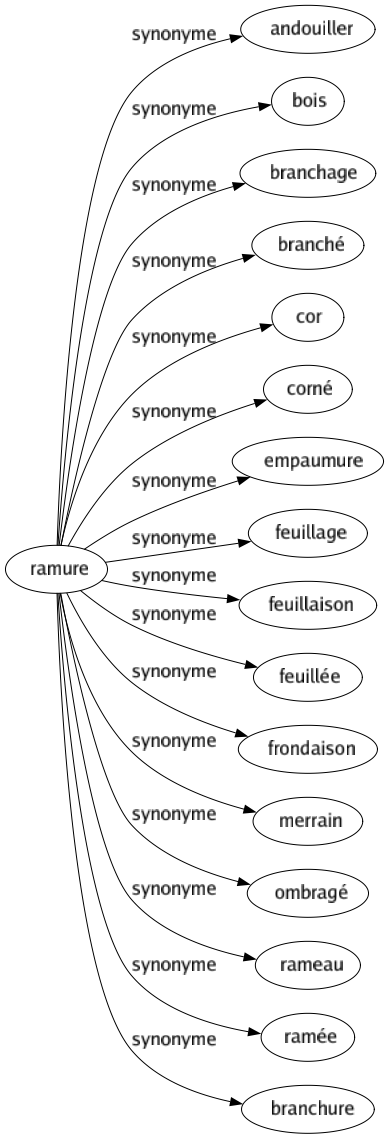 Synonyme de Ramure : Andouiller Bois Branchage Branché Cor Corné Empaumure Feuillage Feuillaison Feuillée Frondaison Merrain Ombragé Rameau Ramée Branchure 
