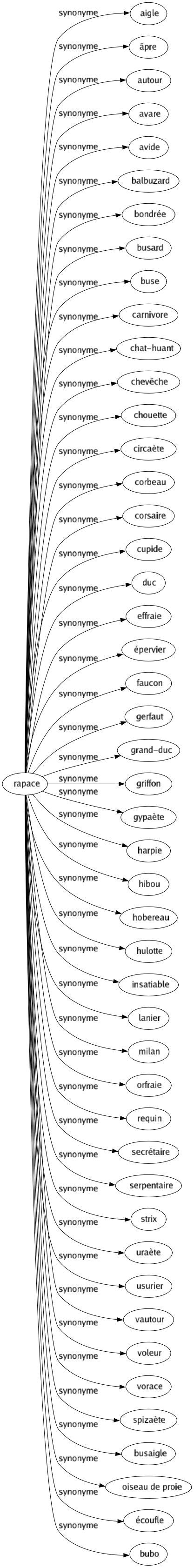 Synonyme de Rapace : Aigle Âpre Autour Avare Avide Balbuzard Bondrée Busard Buse Carnivore Chat-huant Chevêche Chouette Circaète Corbeau Corsaire Cupide Duc Effraie Épervier Faucon Gerfaut Grand-duc Griffon Gypaète Harpie Hibou Hobereau Hulotte Insatiable Lanier Milan Orfraie Requin Secrétaire Serpentaire Strix Uraète Usurier Vautour Voleur Vorace Spizaète Busaigle Oiseau de proie Écoufle Bubo 