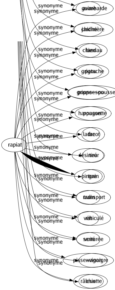 Synonyme de Rapiat : Avare Chiche Chien Grigou Grippe-sou Harpagon Ladre Lésineur Pingre Radin Rat Serré Pisse-vinaigre Râleux 