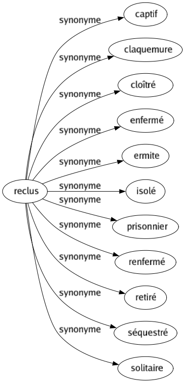 Synonyme de Reclus : Captif Claquemure Cloîtré Enfermé Ermite Isolé Prisonnier Renfermé Retiré Séquestré Solitaire 