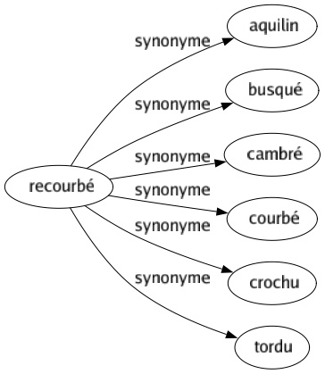Synonyme de Recourbé : Aquilin Busqué Cambré Courbé Crochu Tordu 