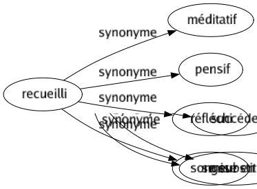 Synonyme de Recueilli : Méditatif Pensif Réfléchi Songeur 