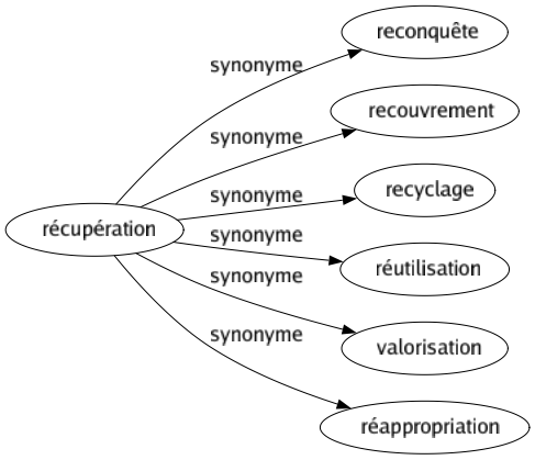 Synonyme de Récupération : Reconquête Recouvrement Recyclage Réutilisation Valorisation Réappropriation 