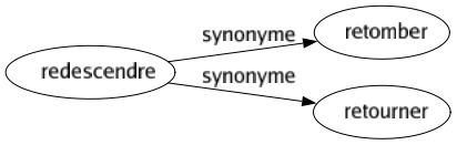 Synonyme de Redescendre : Retomber Retourner 