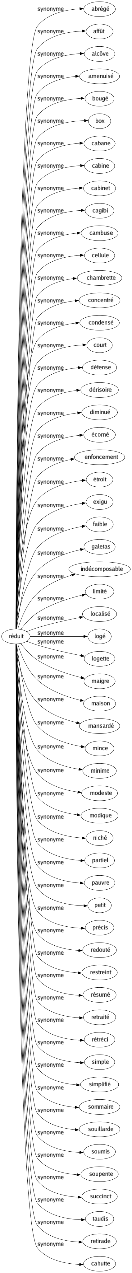 Synonyme de Réduit : Abrégé Affût Alcôve Amenuisé Bougé Box Cabane Cabine Cabinet Cagibi Cambuse Cellule Chambrette Concentré Condensé Court Défense Dérisoire Diminué Écorné Enfoncement Étroit Exigu Faible Galetas Indécomposable Limité Localisé Logé Logette Maigre Maison Mansardé Mince Minime Modeste Modique Niché Partiel Pauvre Petit Précis Redouté Restreint Résumé Retraité Rétréci Simple Simplifié Sommaire Souillarde Soumis Soupente Succinct Taudis Retirade Cahutte 