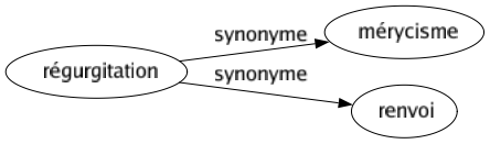 Synonyme de Régurgitation : Mérycisme Renvoi 