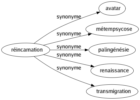 Synonyme de Réincarnation : Avatar Métempsycose Palingénésie Renaissance Transmigration 