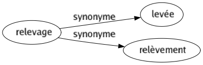 Synonyme de Relevage : Levée Relèvement 