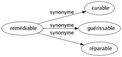 Synonyme de Remédiable : Curable Guérissable Réparable 
