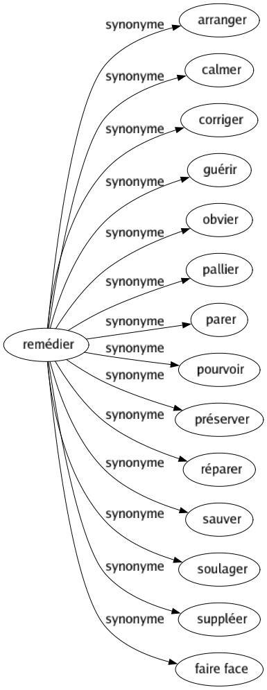 Synonyme de Remédier : Arranger Calmer Corriger Guérir Obvier Pallier Parer Pourvoir Préserver Réparer Sauver Soulager Suppléer Faire face 