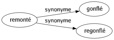 Synonyme de Remonté : Gonflé Regonflé 