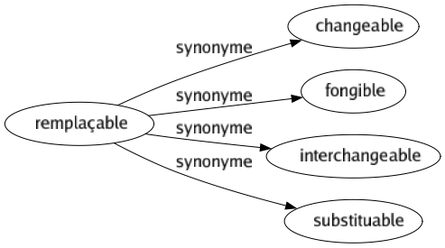 Synonyme de Remplaçable : Changeable Fongible Interchangeable Substituable 