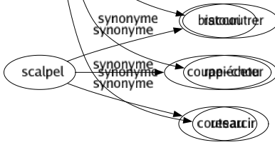 Synonyme de Repriser : Coudre Raccommoder Rafistoler Rapetasser Rapiécer Ravauder Remmailler Rentraire Réparer Restaurer Retaper Stopper Passefiler Raccoutrer Rapiéceter Resarcir 